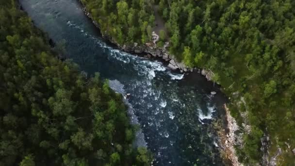 アビスコ国立公園の流れる谷の水 Kiruna Sweden — ストック動画