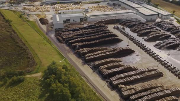 Holzindustrie Drohnenschuss Auf Einer Ebenen Fläche Mit Geraden Reihen Gestapelten — Stockvideo
