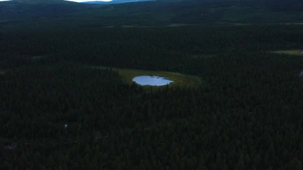Voando Aéreo Sobre Pinheiros Floresta Árvores Pequeno Lago Suécia Aurora — Vídeo de Stock