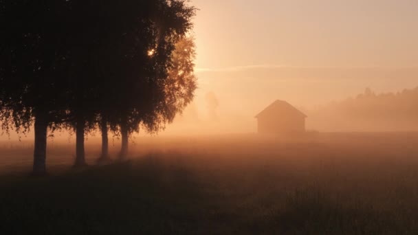 Niesamowity Krajobraz Granicy Rosji Ukrainy Spokojna Poranna Mgła — Wideo stockowe