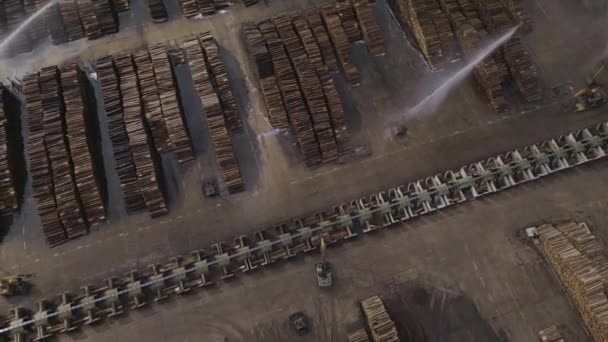 从空中俯瞰木材堆场 工作的木材装载机和水上飞机 使木材保持湿润 — 图库视频影像