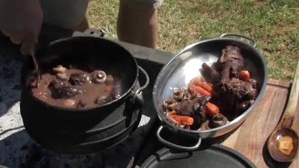 Pootjie Ateşte Yemek Pişirmek — Stok video
