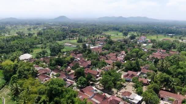 Město Sriwedari Obklopeno Zelenou Živou Přírodou Ostrova Bali Letecký Výhled — Stock video