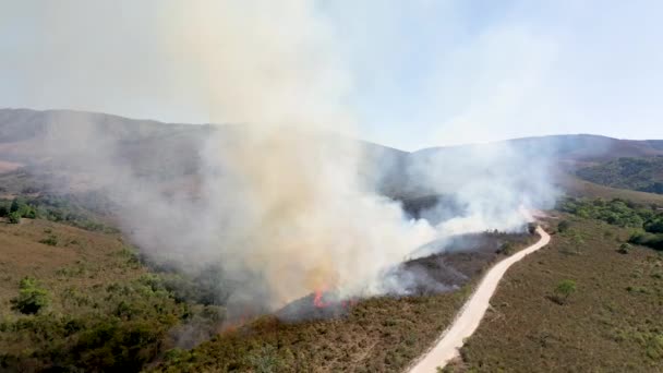 ドローンビューセラ カナスタ国立公園の緩衝地帯に大西洋の森の遷移とセラードバイオームの森林火災 — ストック動画