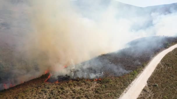 ドローンビューセラ カナスタ国立公園の緩衝地帯に大西洋の森の遷移とセラードバイオームの森林火災 — ストック動画