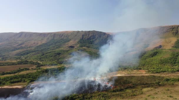 Vista Drones Del Incendio Forestal Bioma Cerrado Con Transición Selva — Vídeos de Stock