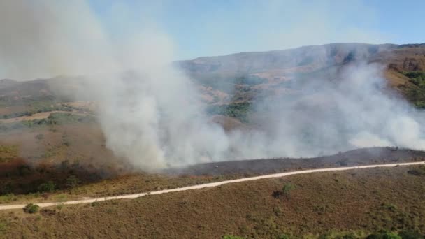 Vista Drone Incendio Boschivo Nel Bioma Del Cerrado Con Transizione — Video Stock