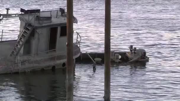 Eski Batık Gemi Suya Battı — Stok video