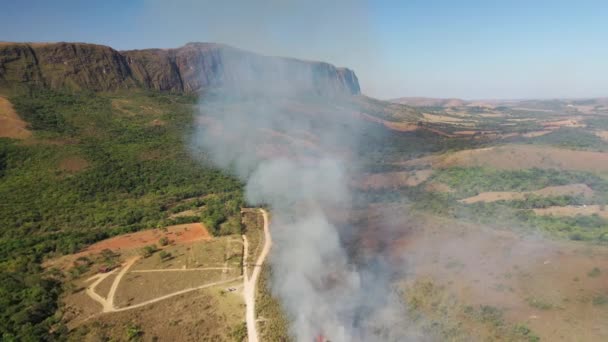 Drone Vista Incêndio Florestal Bioma Cerrado Com Transição Mata Atlântica — Vídeo de Stock