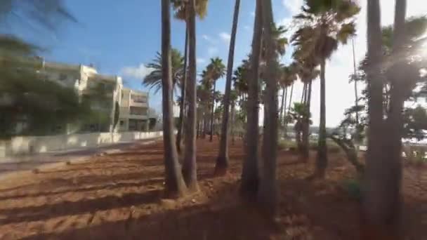 Penerbangan Udara Fpv Melalui Pohon Palem Taman Pantai Tropis Hari — Stok Video