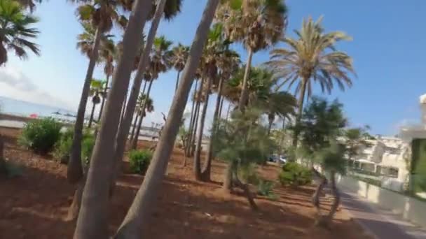 Dichtbij Fpv Vlucht Door Toeristische Strand Park Palmbomen — Stockvideo