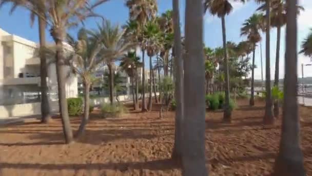 Sunny Palm Waterfront Park Fpv Vol Aérien Par Plage Touristique — Video