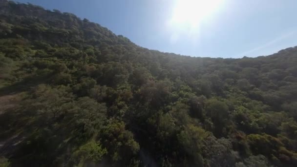 Vôo Aéreo Fpv Baixo Para Cima Encosta Florestada Com Sol — Vídeo de Stock