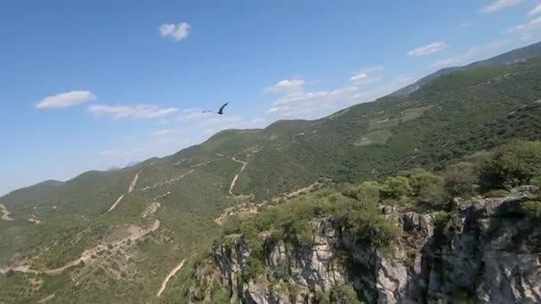 Fpv Aerial Flight Chases Soaring Eagle Cliffs Coripe Spain — Stock Video