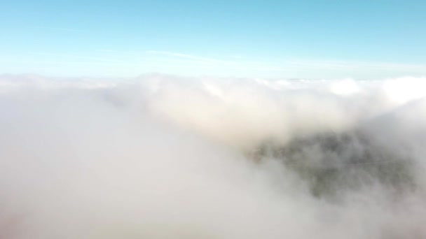 Nebelwolken Aus Der Luft Über Dem Saisonalen Herbstwald Wenig Morgensonne — Stockvideo