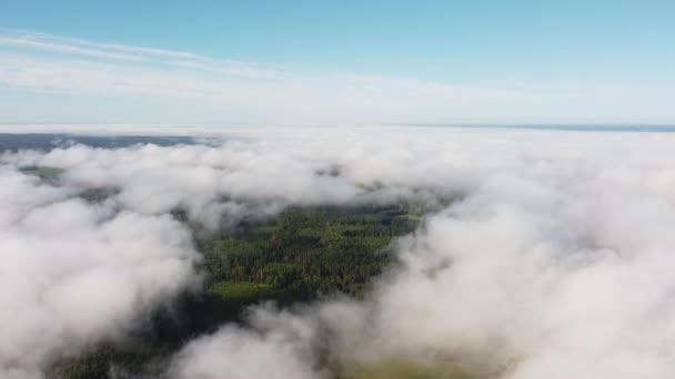 Nebelwolken Aus Der Luft Über Dem Saisonalen Herbstwald Wenig Morgensonne — Stockvideo