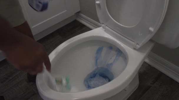 4K在家中或酒店用刷子和碗清洁水冲洗厕所 — 图库视频影像