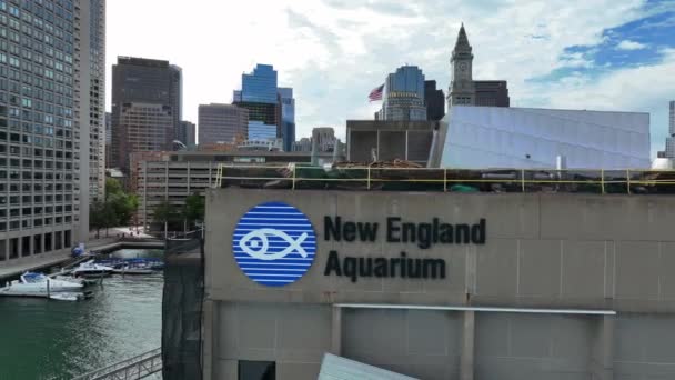 Acuario Nueva Inglaterra Firme Inicie Sesión Boston Edificio Aduana Distancia — Vídeo de stock