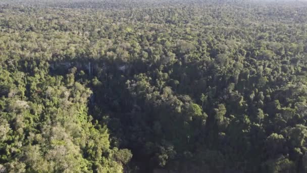 Veduta Aerea Salto Arrechea Autunno Circondato Della Giungla Iguazu Alla — Video Stock