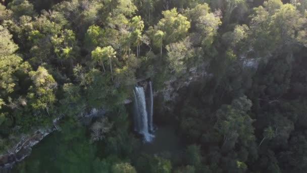 アルゼンチンとブラジルの国境のジャングルの中にあるサルトー アレチアの滝 イグアスは国立公園に落ちます 空中ドローントップダウン後方 — ストック動画