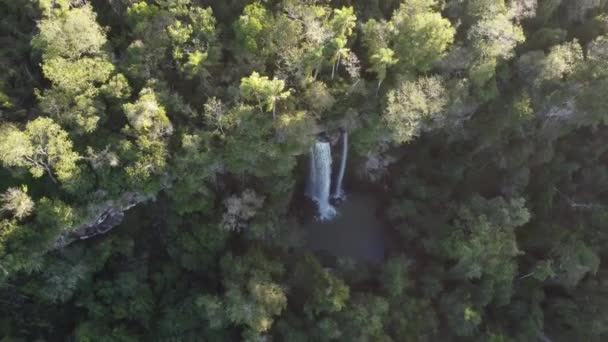 Filmový Dron Zpětný Záběr Padající Vody Vodopádu Uprostřed Amazonské Deštné — Stock video