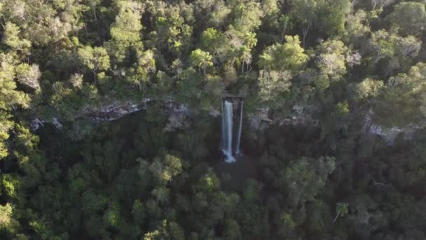 Sestupující Letecký Top Dolů Salto Arrechea Vodopád Hluboké Džungli Iguazu — Stock video