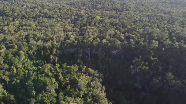 Flug Über Den Salto Arrechea Fall Mitten Dschungel Von Iguazu — Stockvideo