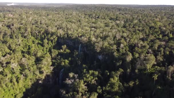 Aerial View Deep Iguazu Jungle Sunny Day Hidden Waterfall South — Stock Video