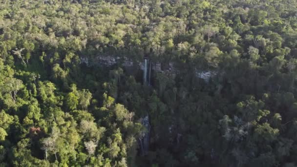 アルゼンチンとブラジルの国境にある熱帯雨林のサルト アレチアの滝 イグアスは国立公園に落ちます 空中ドローンビュー — ストック動画