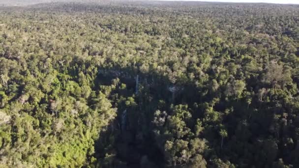 Salto Arrechea Waterval Het Midden Van Iguazu Jungle Grens Van — Stockvideo