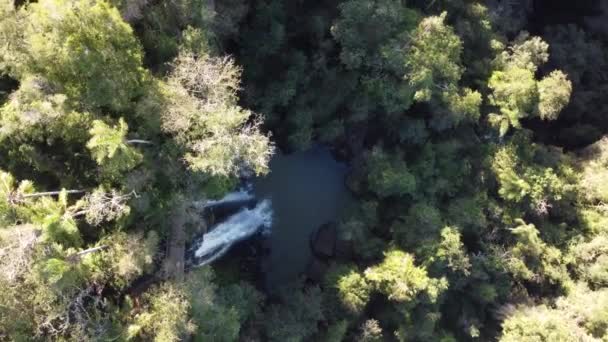 Air Terjun Salto Arrechea Dan Kolam Alami Hutan Perbatasan Argentina — Stok Video