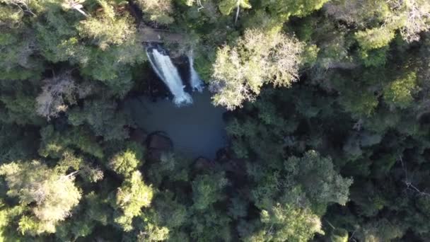 Vue Aérienne Haut Bas Célèbre Chute Salto Arrechea Milieu Jungle — Video