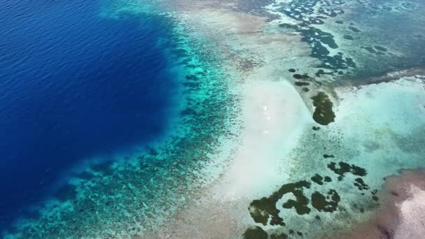 Birds Eye View Coral Reef One Most Biodiversity Θαλάσσιο Οικοσύστημα — Αρχείο Βίντεο