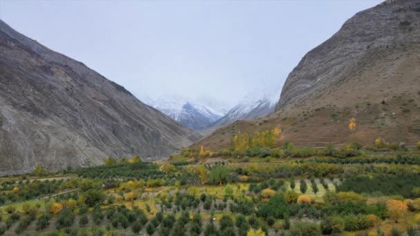 Luftaufnahmen Eines Kleinen Dorfes Himachal Pradesh Indien Apfelorchideen Himalaya Tal — Stockvideo