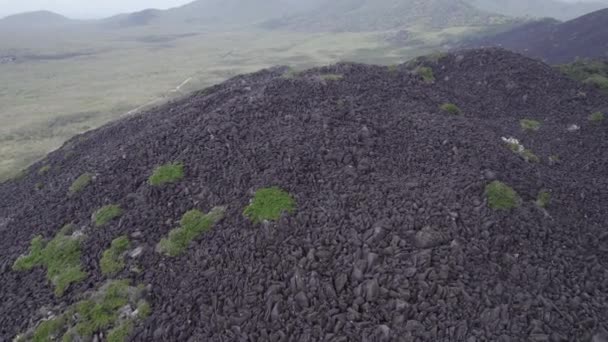 Distinctifs Blocs Granit Foncé Recouverts Mousse Lichen Parc National Black — Video