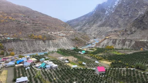 4K印度喜马偕尔邦一个小村庄的空中射击 喜马拉雅谷地的苹果兰花 — 图库视频影像