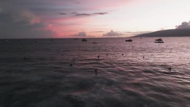 Surfer Und Bootsfahrer Genießen Meerblick Auf Den Rot Rosa Sonnenuntergang — Stockvideo