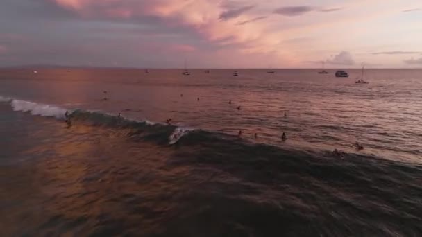 ハワイの女性サーファーはラハイナ港に素敵な長い波に乗っています 空中追跡ショット 日没の背景 — ストック動画