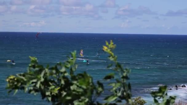 霍基帕海滩站3次风帆运动 翼翼挡板 风筝冲浪 — 图库视频影像