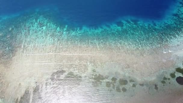Вид Птахи Опускається Бік Приголомшливого Океану Кораловими Рифами Кришталево Чиста — стокове відео