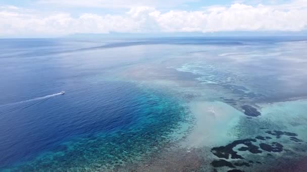 Σκάφος Κατάδυσης Ταξιδεύει Ένα Όμορφο Υγιές Ποικιλόμορφο Θαλάσσιο Οικοσύστημα Κοραλλιογενών — Αρχείο Βίντεο