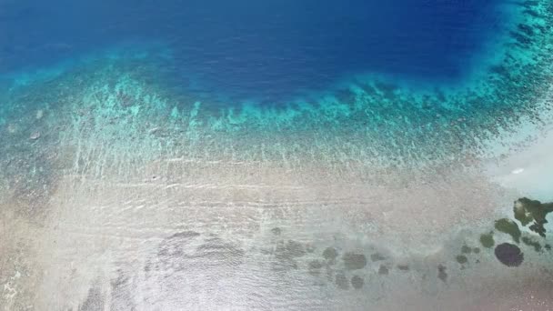 Légi Drón Gyönyörű Óceán Paradicsom Kristálytiszta Óceán Biodiverzum Korallzátony Szelíd — Stock videók