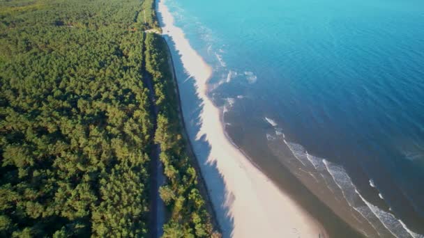 Drohnenfotos Vom Goldenen Sandstrand Neben Meereswellen Und Grünem Wald Sonnenlicht — Stockvideo