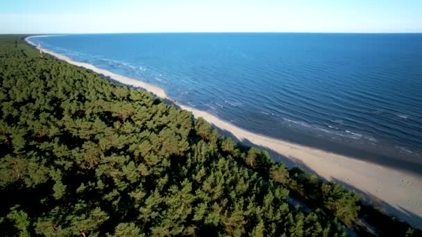 Krynica Morska Las Plaża Wybrzeże Nad Wisłą Pluć Delikatnie Fale — Wideo stockowe