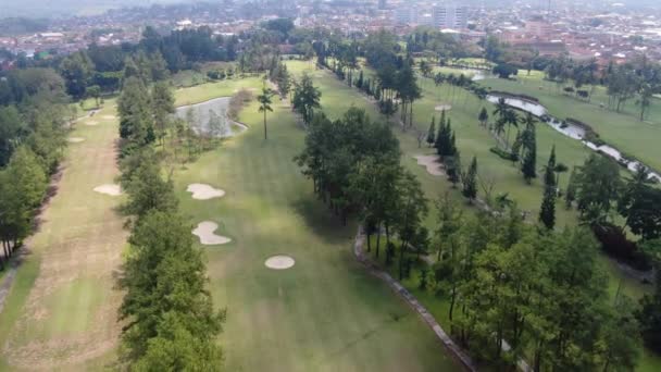 Palmbomen Groeien Exotische Golfbaan Nabij Magelang Stad Antenne Drone View — Stockvideo