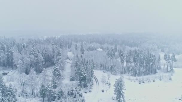 Scena Aerea Scena Bianca Invernale Mentre Neve Copre Paesaggio Boschivo — Video Stock