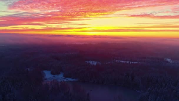 Dramatic Sunset Sky Countryside Landscape Coniferous Forest River Aerial Shot — Stock Video