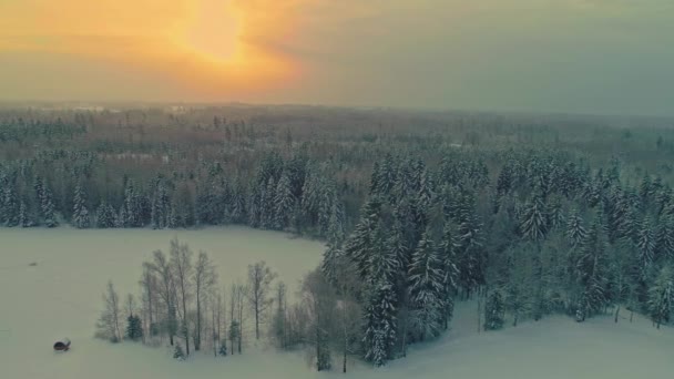 Flygfoto Panorering Vänster Avslöjar Isolerad Snöig Boreal Skog Landskap Vid — Stockvideo