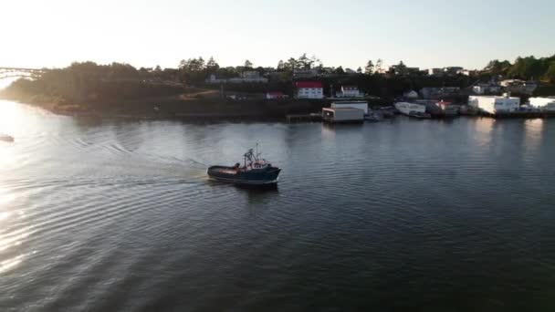 Gün Batımında Limana Giren Balıkçı Gemisinin 360 Drone Panoraması — Stok video