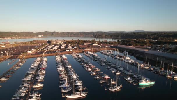 Yaquina Körfezi Ndeki Marina Newport Oregon — Stok video